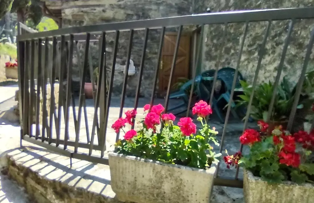 Fattoria di Cintoia-1