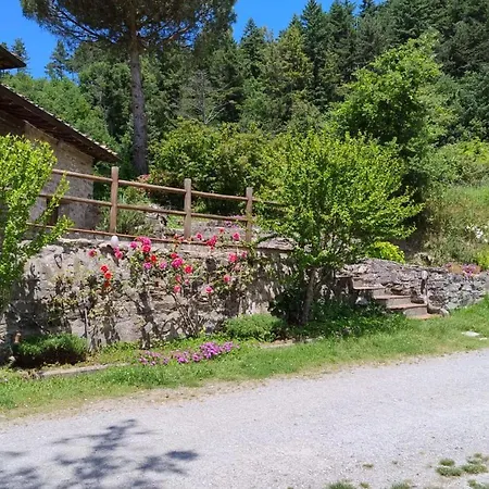 Fattoria di Cintoia-2