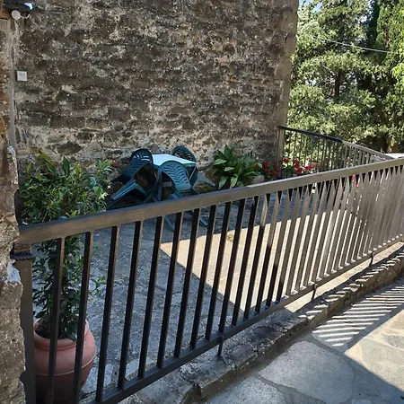 Fattoria di Cintoia-3